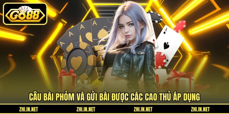 Câu Bài Phỏm Và Gửi Bài Cuối Trận Để Giảm Điểm Chi Tiết